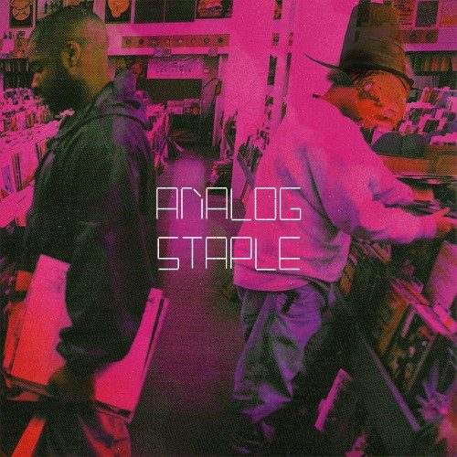 Analog Staple – Endtroducing Replica (knockoff album cover)