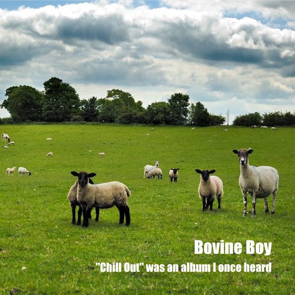 Bovine Boy – Chill Out Was An Album I Once Heard (knockoff album cover)