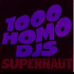 Homo DJs – s/t (knockoff album cover)