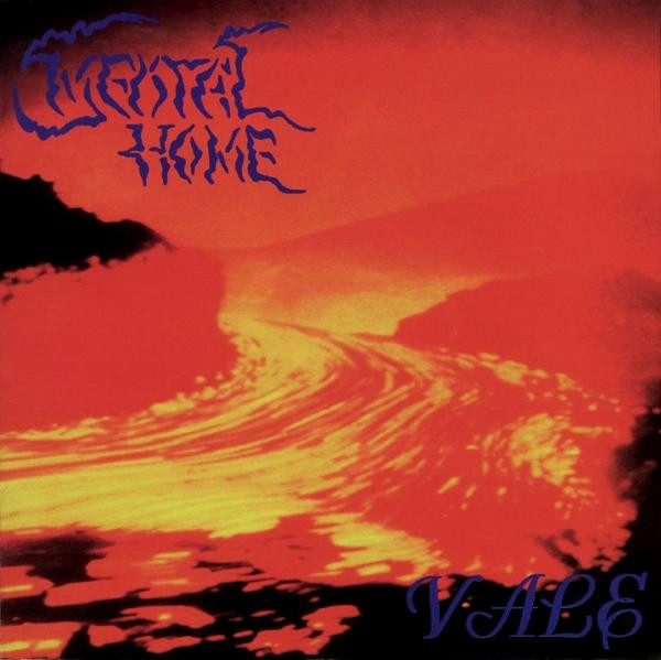 Mental Home – Vale (knockoff album cover)