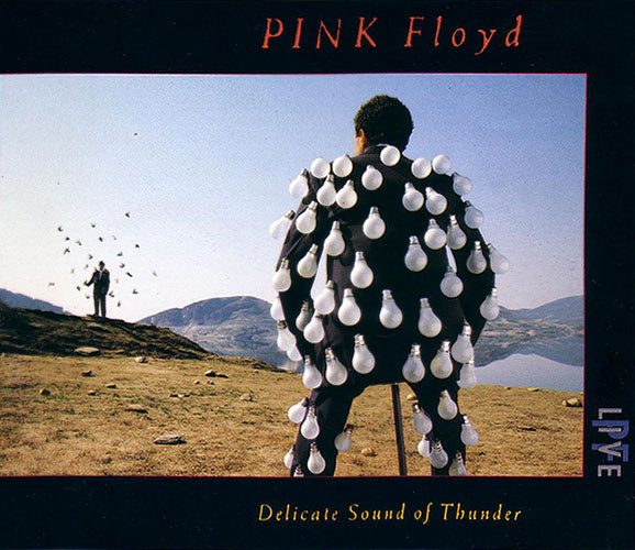 Pink Floyd – Delicate Sound Of Thunder (original album cover)