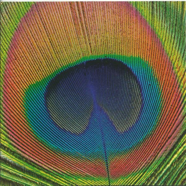 Rizwan-Muazzam Qawwali – Day Of Colours (knockoff album cover)