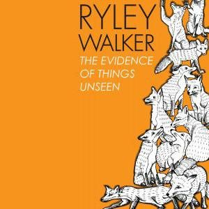 Ryley Walker – The Evidence Of Things Unseen (knockoff album cover)