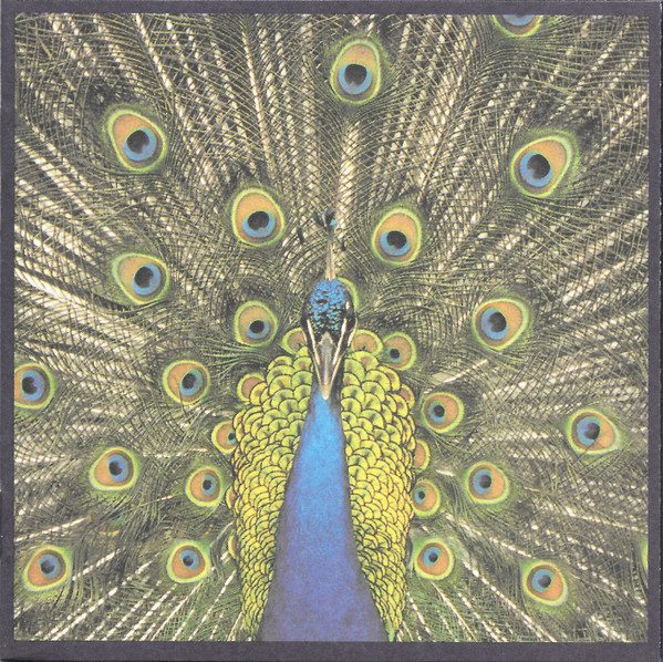 The Bluetones – Expecting To Fly (original album cover)