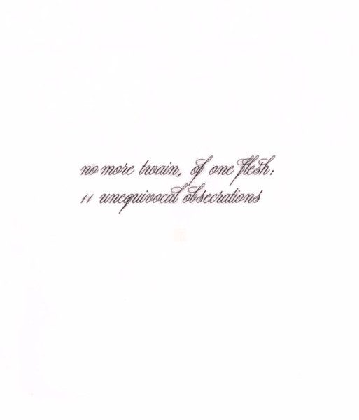The Hafler Trio – No More Twain, Of One Flesh: 11 Unequivocal Obsecrations (knockoff album cover)