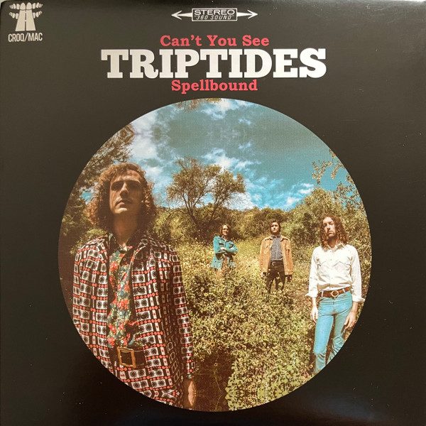 Triptides – Can't You See (knockoff album cover)