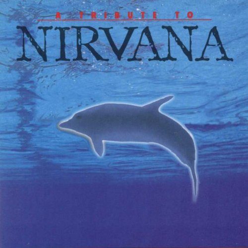 Various – A Tribute To Nirvana (knockoff album cover)