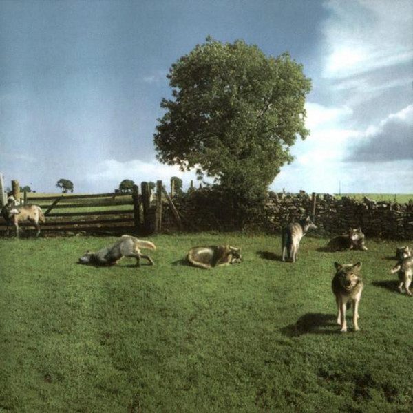 Various – Chill Out (knockoff album cover)