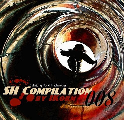 Various – SH Compilation 008 (knockoff album cover)